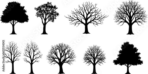Bare Trees Branching Outwards branches silhouette
