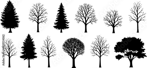 Bare Trees Branching Outwards branches silhouette
