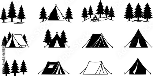 Camping tents and evergreen trees forest

