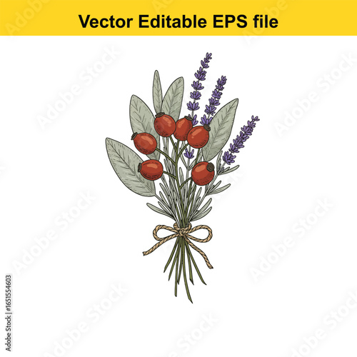 Rose hip and lavender flower bouquet isolated on white background, vector illustration