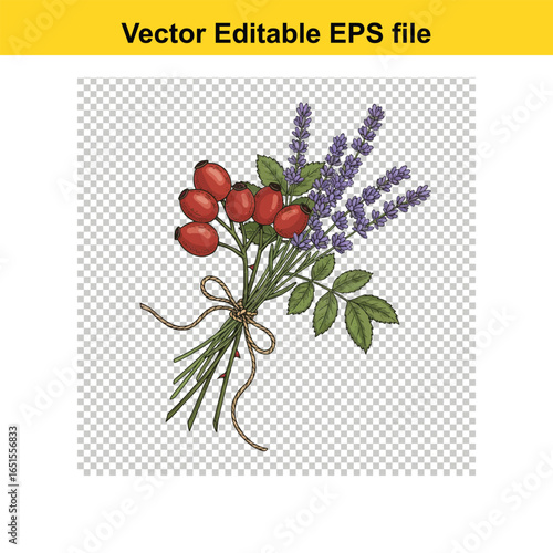 A beautiful handdrawn bouquet of rose hips and lavender flowers, isolated on a transparent background