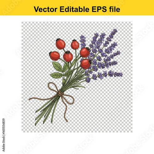 A beautiful handdrawn bouquet of rose hips and lavender flowers, isolated on a transparent background
