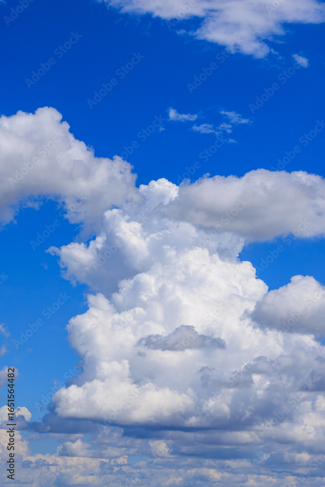 Fototapeta premium 青空と雲