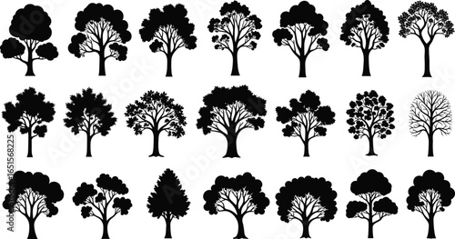 Collection of twenty unique tree silhouettes with varied shapes and foliage styles, minimalist black vector illustration for nature, landscape, and botanical design themes