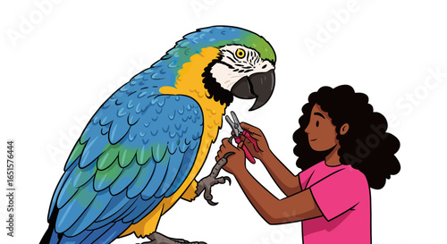 Blue and Gold Macaw with Black Beak and Yellow Eyes Being Groomed