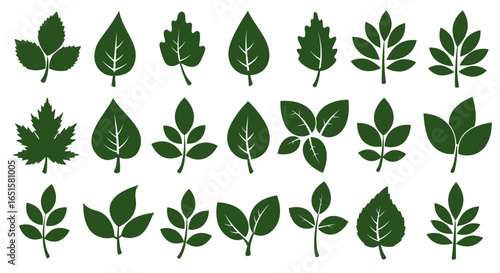 Collection of 24 vector green leaves PNG images, ideal for eco-friendly designs, spring themes, or botanical illustrations; easily downloadable high-resolution assets for commercial use.