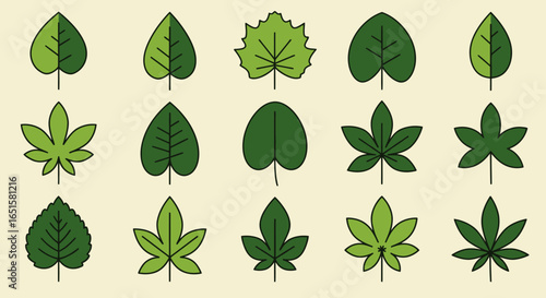 A diverse collection of stylized green leaf vector icons showcasing various natural shapes, perfect for graphic design and digital projects.