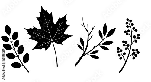 High-resolution vector PNG image featuring a collection of four distinct leaf silhouettes: a maple leaf, a sprig of berries, and two unique leaf branches, ideal for design projects.