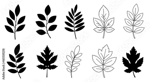A collection of various stylized leaf illustrations, presented in both solid black and outlined styles, perfect for adding a touch of nature to any design project or graphic element.