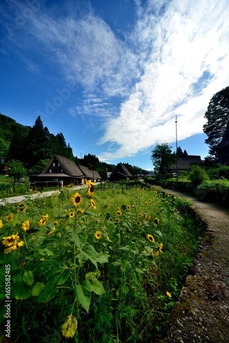 五箇山集落
