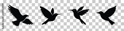 Vector Flat Design Birds Silhouette Set On Transparent Background