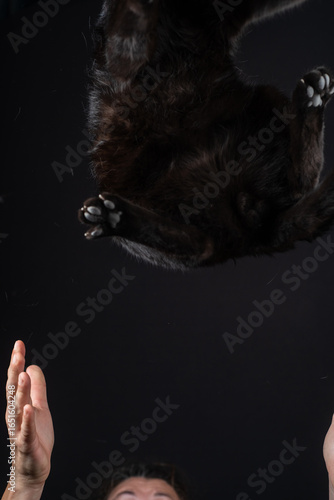 Vászonkép Woman catching cat after jump with visible frozen cat dander on black background