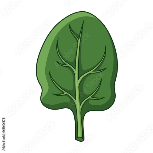 Cartoon illustration of a vibrant green spinach leaf.