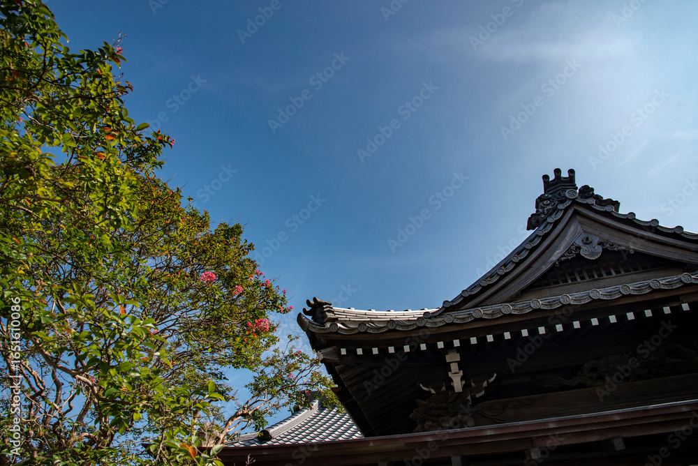 Fototapeta premium 鎌倉25816 本覚寺1 百日紅