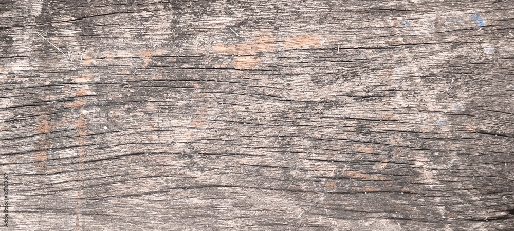 Fototapeta premium Natural old wood texture for the background