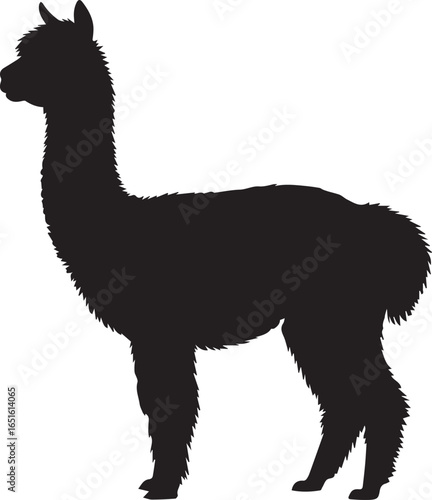 silhouette of alpaca in profile vector illustration for farm animal design and wool industry projects