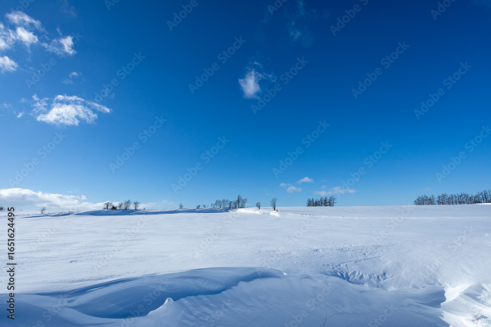 The broadening snowy fields and the passing blue sky The broadening snowy fields and the passing blue sky