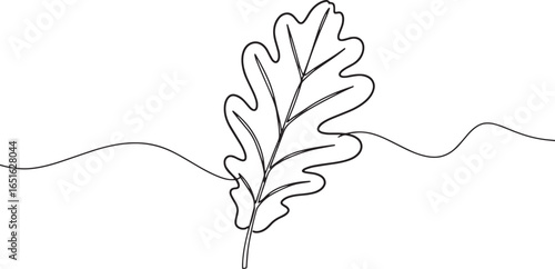 Elegant simplicity line drawing of a bronze oak leaf on delicate