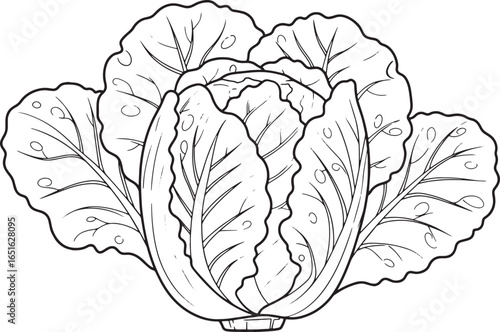 Detailed Black and White Line Art Illustration of a Fresh Chines