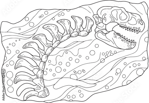 Monochrome illustration showcasing the fossilized remains of a p