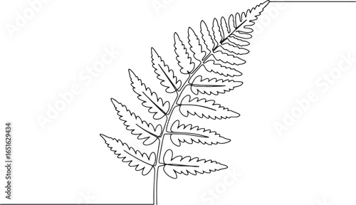 Elegant Single Line Drawing of a Fern Frond with Clean Botanical