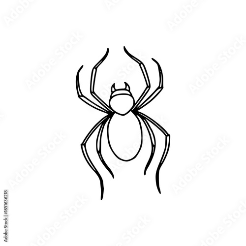 Halloween insect graphic - spooky spider