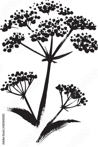 Delicate Valerian Flower in Sumi-e Style Black and White Ink Ill