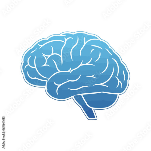 Stylized illustration of a human brain, depicted in shades of blue with intricate white lines representing neural pathways and convolutions, symbolizing thought and cognition.