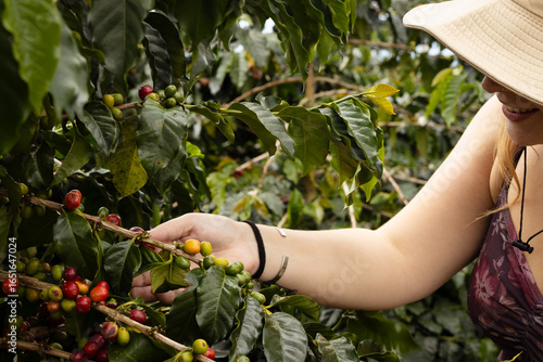 Discovering Coffee's Origin from the Plant
