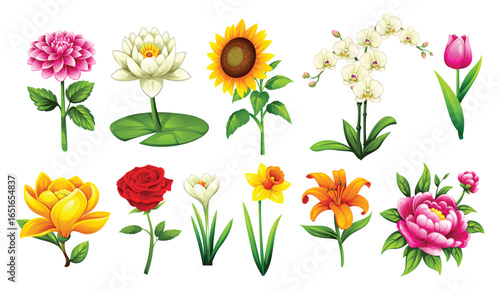 Set of different types of colorful flowers such as dahlia, water lily, sunflower, orchid, tulip, rose, and others. Vector cartoon illustration