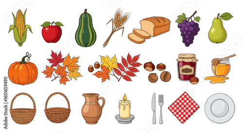 Illustration of camping and climbing gear arranged on a white background