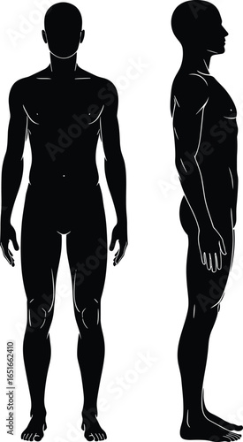 Human male body silhouette front and side view, anatomical reference, black figure illustration
