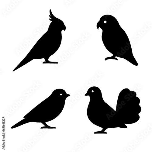 Avian pet silhouettes featuring cockatiel lovebird finch and dove for feathered companions