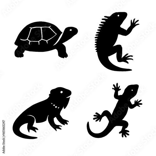 Reptile pet silhouettes featuring tortoise iguana bearded dragon and leopard gecko for scaly companions