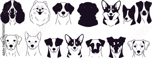 Dog breed face vector collection, hand drawn pet illustration set, black and white dog portraits