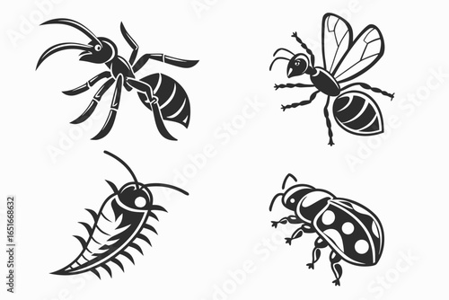 Set of four insect icons isolated on white background in black and white