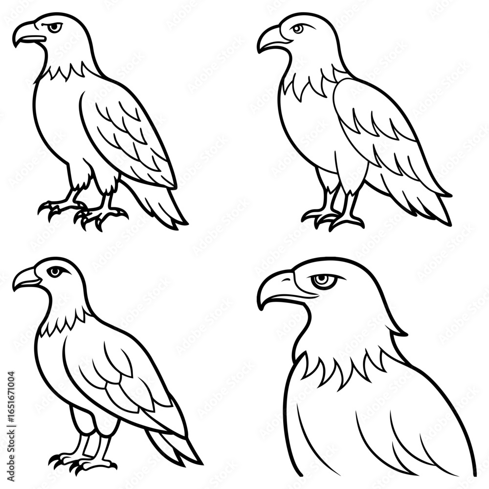Fototapeta premium Four outline drawings of eagles in different poses showcasing their distinctive features and sharp beaks