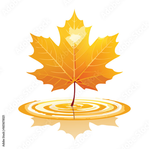 A Golden Maple Leaf Floating In Clear Rippling Water