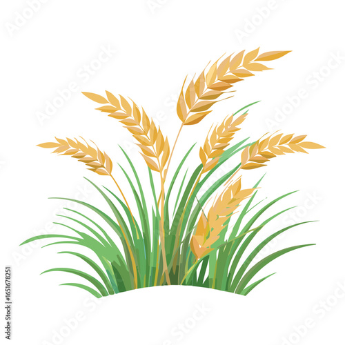 A vector drawing of a bunch of yellow wheat with green grass.