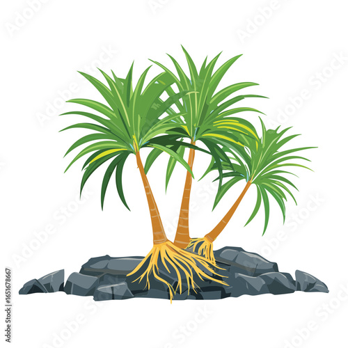A beautiful flat illustration of a pandanus tree with exposed roots on rocks