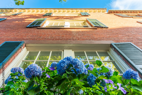 Foto Brick Townhouse with Blue Hydrangeas and Green Shutters