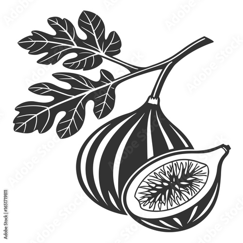 A stylized black and white illustration of a ripe fig on a branch with leaves one fig is cut in half revealing its seeds and flesh