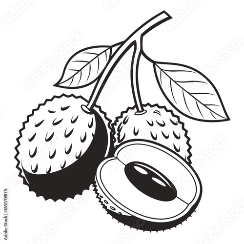 A stylized black and white illustration of three lychee fruits on a branch with one fruit cut in half revealing its seed and flesh