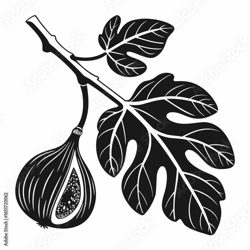 A striking black and white illustration of a ripe fig fruit cut in half hanging from a branch with detailed leaves