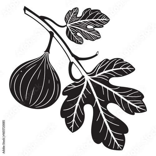 A striking black and white linocut illustration of a ripe fig hanging from a branch adorned with detailed lobed leaves