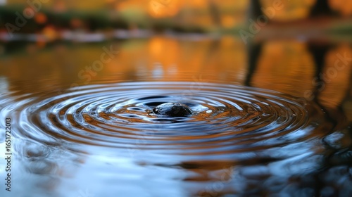 Wallpaper Mural Reflections and Ripples: A Tranquil Autumnal Scene of a Stone in Water Torontodigital.ca