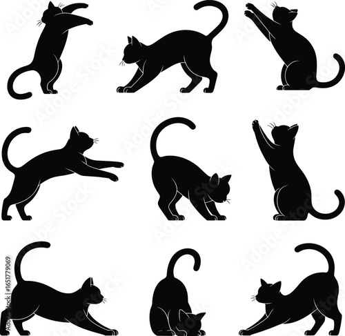 Cat silhouettes in various poses, stretching sitting standing jumping, black vector icons, feline movement illustration, animal design, pet behavior and anatomy reference