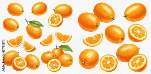 A vibrant collection of fresh kumquats, shown whole, sliced in half, as wedges, and in clusters with leaves.