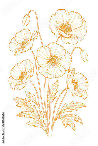 Luxury Floral Vector Illustration — Hand-Drawn Gold Lily Botanical Design