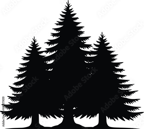 Illustration of a group of pine trees, showcasing a winter landscape with evergreen conifers in a vintage style